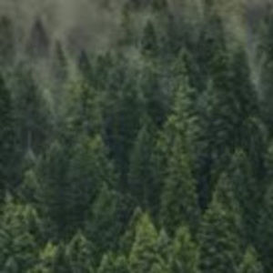 Meet your Posher, Brower